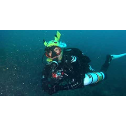 Sidemount